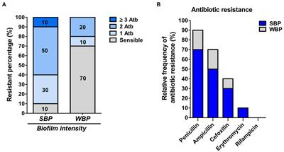 Chitosan can improve antimicrobial treatment independently of bacterial lifestyle, biofilm biomass intensity and antibiotic resistance pattern in non-aureus staphylococci (NAS) isolated from bovine clinical mastitis